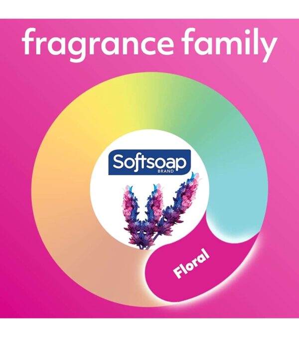 Softsoap Liquid Hand Soap, Soft Rose – 7.5 Fl Oz (Pack of 6)