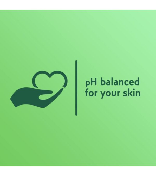 Softsoap Moisturizing Liquid Hand Soap, Soothing Clean Aloe Vera – 7.5 Fl Oz (Pack of 6)