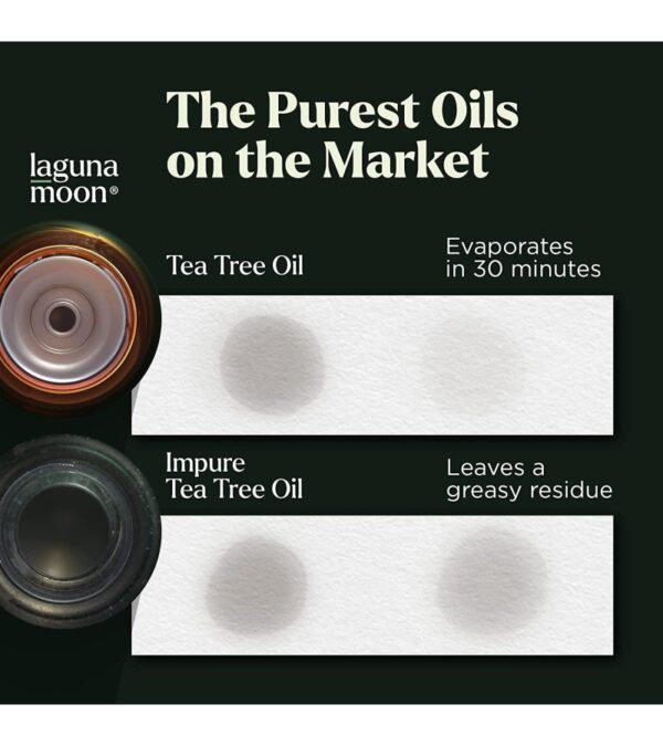 Essential Oils Set – Top 6 Organic Blends for Diffusers, Home Care, Candle Making, Fragrance, Aromatherapy, Humidifiers, Gifts – Peppermint, Tea Tree, Lavender, Eucalyptus, Lemongrass, Orange (10mL)