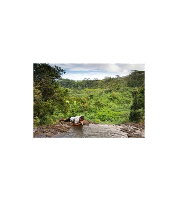 LifeStraw Personal Water Filter for Hiking, Camping, Travel, and Emergency Preparedness