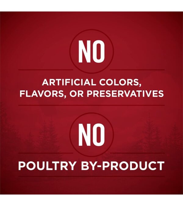 Purina ONE True Instinct Tender Cuts in Gravy With Real Turkey and Venison, and With Real Chicken and Duck High Protein Wet Dog Food Variety Pack – (12) 13 oz. Cans