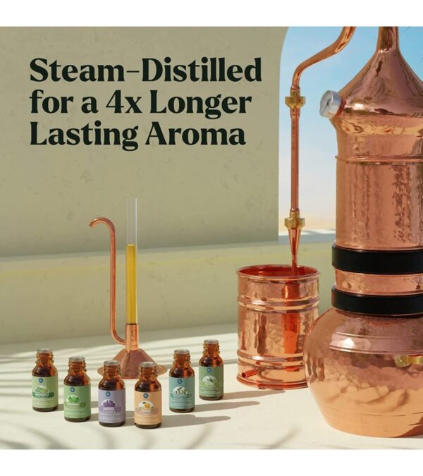 Essential Oils Set – Top 6 Organic Blends for Diffusers, Home Care, Candle Making, Fragrance, Aromatherapy, Humidifiers, Gifts – Peppermint, Tea Tree, Lavender, Eucalyptus, Lemongrass, Orange (10mL)