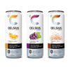 CELSIUS Sparkling Classic Pop Pack, Functional Essential Energy Drink 12 Fl Oz (Pack of 24)