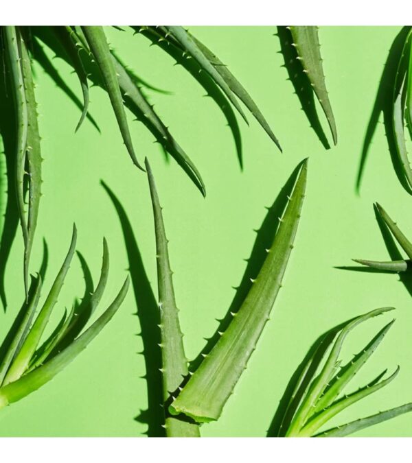 Softsoap Moisturizing Liquid Hand Soap, Soothing Clean Aloe Vera – 7.5 Fl Oz (Pack of 6)