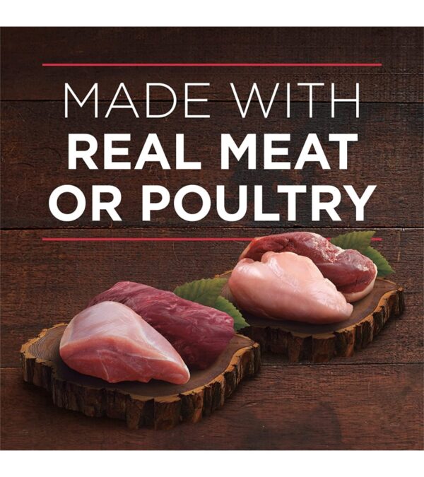 Purina ONE True Instinct Tender Cuts in Gravy With Real Turkey and Venison, and With Real Chicken and Duck High Protein Wet Dog Food Variety Pack – (12) 13 oz. Cans