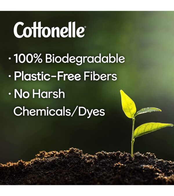 Cottonelle FreshFeel Flushable Wet Wipes, Adult Wet Wipes, 8 Flip-Top Packs, 336 Total Wipes