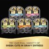 img-419d77745de8dd23406786ec6945ebe6 SHEBA PERFECT PORTIONS Cuts in Gravy Wet Cat Food Trays (24 Count, 48 Servings), Roasted Chicken, Gourmet Salmon and Tender Turkey Entrée, Easy Peel Twin-Pack Trays