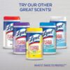 img-421173a40eeb765c4eb59e07c8cda664 Lysol – 19200741866 Disinfectant Spray, Crisp Linen, 150oz (12X12.5oz)