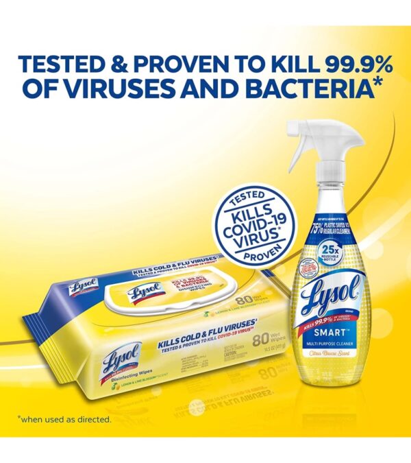 img-5b99559acd5625ebd8abc08471609cae Lysol Disinfectant Multi-Surface Antibacterial Handi-Pack Cleaning Wipes, Lemon and Lime Blossom, 480 Count (Pack of 6) and Smart Multipurpose Disinfecting Spray Cleaner Kit, Citrus Breez, 5pc Set