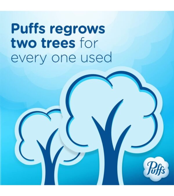 Puffs Plus Lotion Facial Tissues, 8 Family Boxes, 124 Facial Tissues per Box