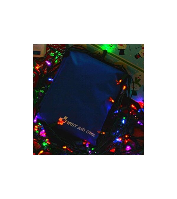 First Aid Only 298 Piece All-Purpose First Aid Emergency Kit (FAO-442)