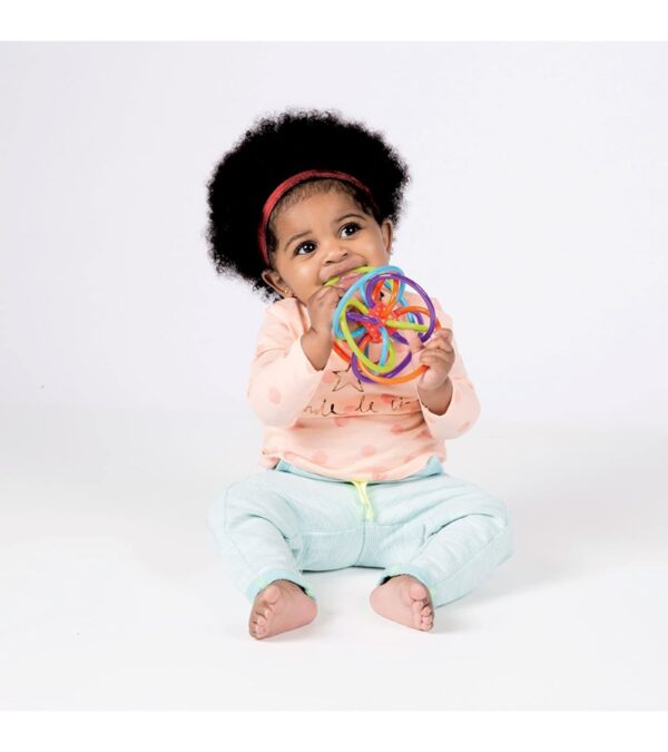 Manhattan Toy Winkel Rattle & Sensory Teether Toy