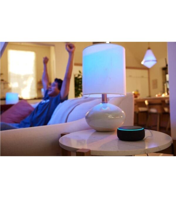 Echo Dot (3rd Gen, 2018 release) – Smart speaker with Alexa – Charcoal