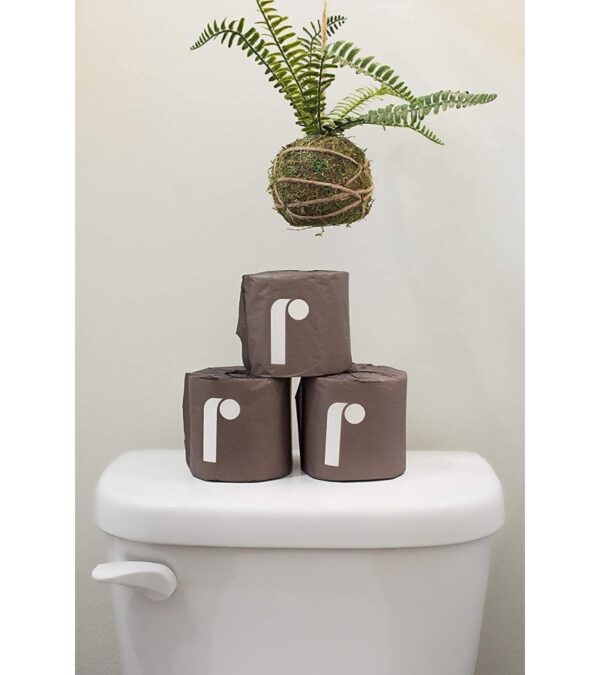 Bulk Reel Premium Bamboo Toilet Paper – 2 Pack – 48 Rolls of Toilet Paper – 3-Ply Made From Tree-Free, 100% Bamboo Fibers – Eco-Friendly Zero Plastic Packaging