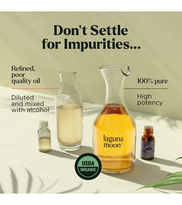 Essential Oils Set – Top 6 Organic Blends for Diffusers, Home Care, Candle Making, Fragrance, Aromatherapy, Humidifiers, Gifts – Peppermint, Tea Tree, Lavender, Eucalyptus, Lemongrass, Orange (10mL)