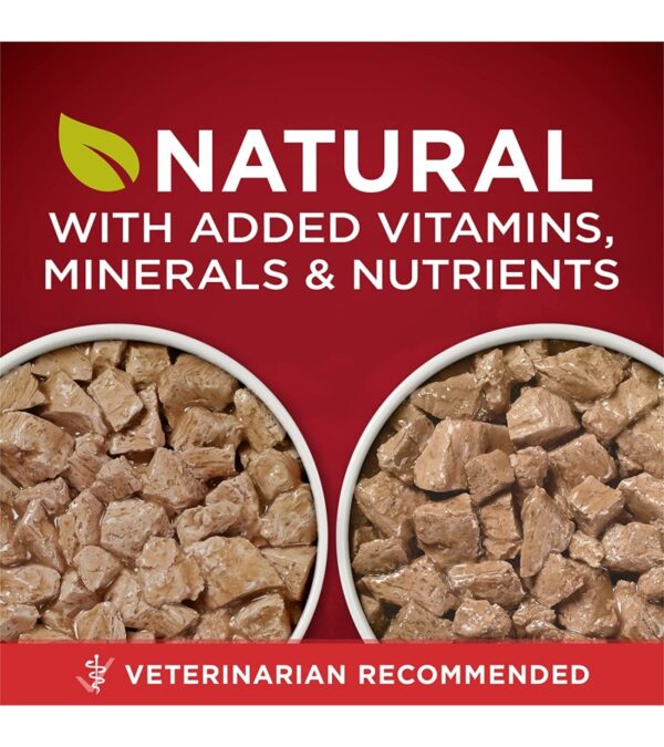 Purina ONE True Instinct Tender Cuts in Gravy With Real Turkey and Venison, and With Real Chicken and Duck High Protein Wet Dog Food Variety Pack – (12) 13 oz. Cans