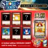 SHOGUN CANDY yummy dagashi snack box from Japan (AMATERASU)