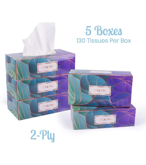 img-e445ac0d1e2b0dfdf0914119d5568568 Plush Facial Tissues 130 Per Box Size 7″ X 6.9″ 2 Ply,Soft, Smooth, Great for Bathroom, Office, Store, School,Home, Kitchen, Or in Your Car & in Every Room (Family pack Pack of 5, 650 Tissues total)