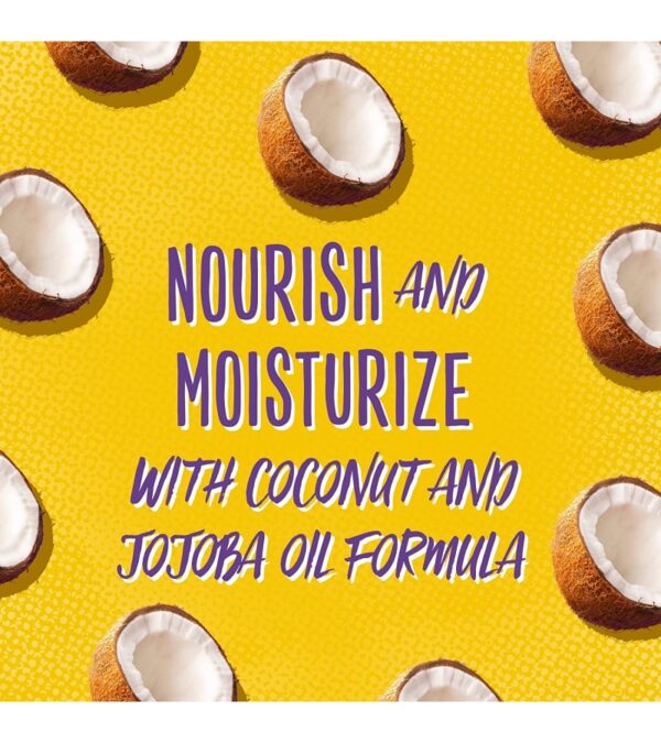 Aussie Miracle Curls Collection: Shampoo, Conditioner, Deep Conditioner, Spray Gel, Detangling Milk, and Oil Hair Treatment (6 Piece Set)