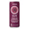 img-f2adb866d6bb5a6c75f2849cea30d6f0 IZZE Sparkling Juice, 4 Flavor Variety Pack, 8.4 Fl Oz (24 Count)
