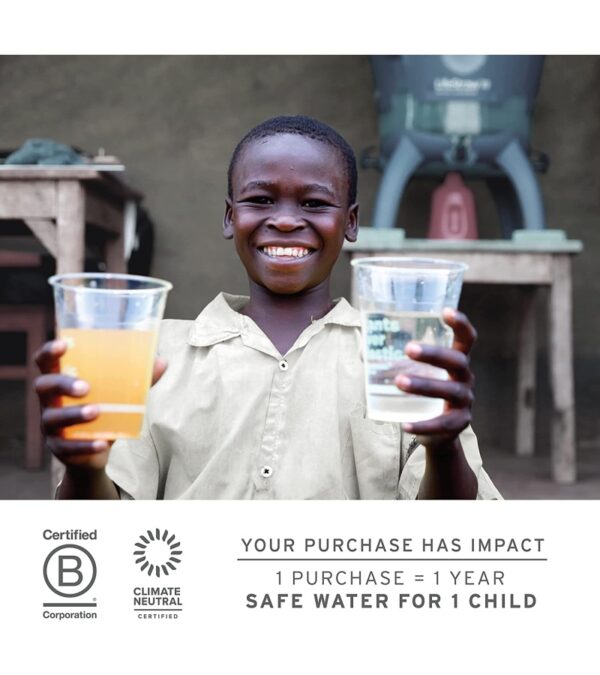 LifeStraw Personal Water Filter for Hiking, Camping, Travel, and Emergency Preparedness